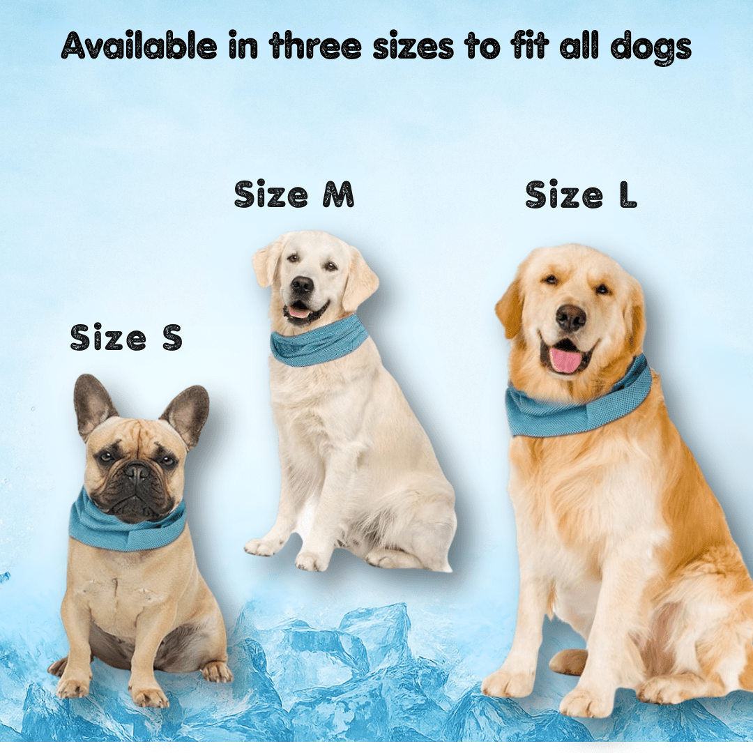 Arctic™ Cooling Dog Bandana - Cooling AussiesCooling AussiesArctic™ Cooling Dog Bandana