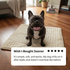 Arctic™ Cooling Dog Mats - Cooling AussiesCooling AussiesArctic™ Cooling Dog Mats