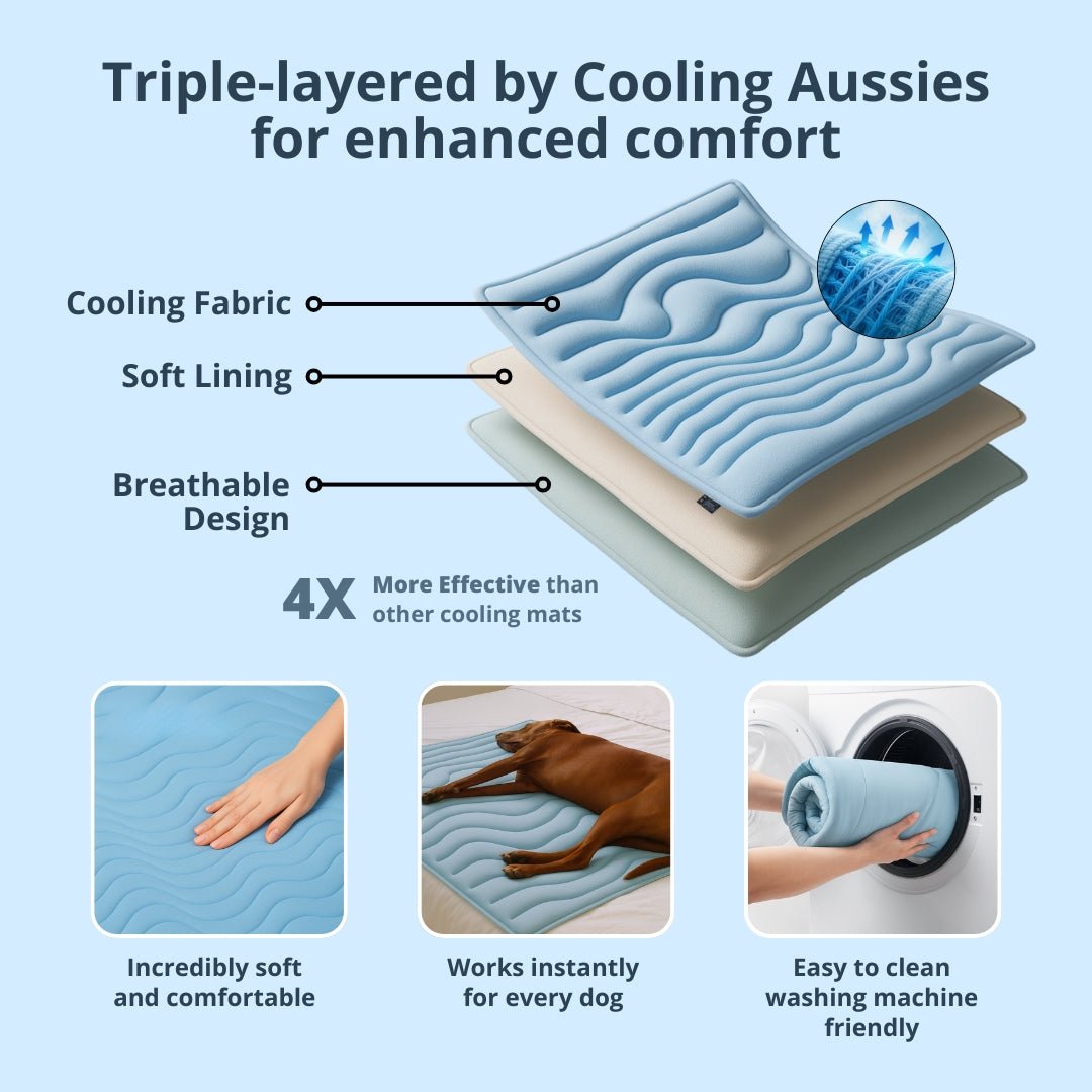 Arctic™ Dog Mat Premium - Cooling AussiesCooling AussiesArctic™ Dog Mat Premium