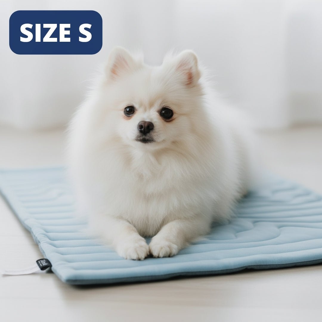 Arctic™ Dog Mat Premium - Cooling AussiesCooling AussiesArctic™ Dog Mat Premium