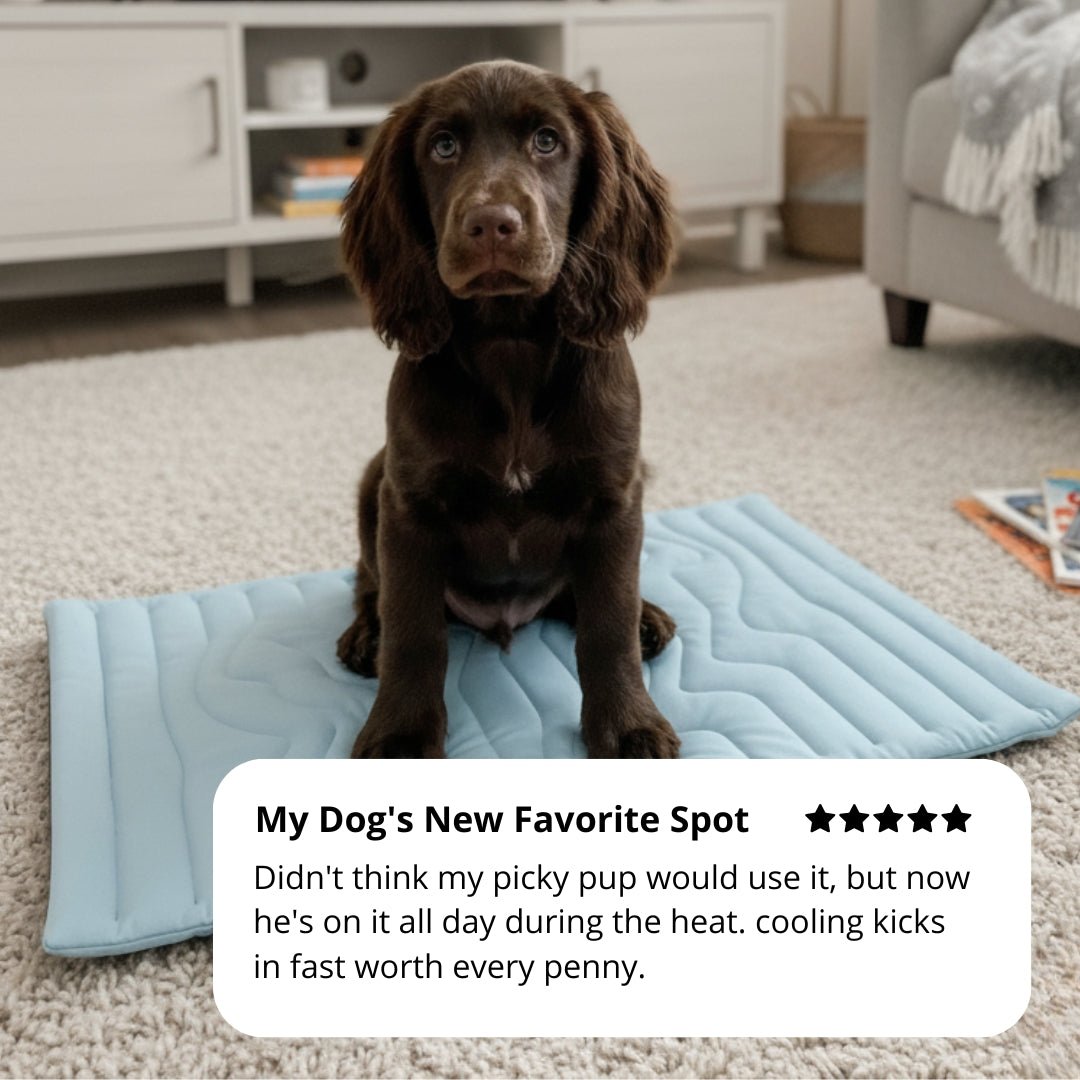 Arctic™ Dog Mat Premium - Cooling AussiesCooling AussiesArctic™ Dog Mat Premium