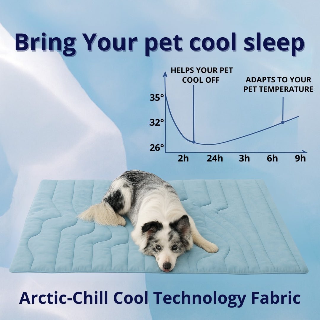 Arctic™ Dog Mat Premium - Cooling AussiesCooling AussiesArctic™ Dog Mat Premium