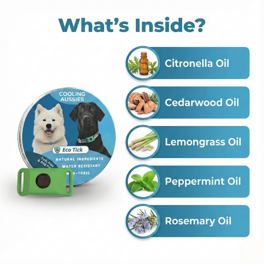 EcoTick - 12 Months Flea and Tick Free - Cooling AussiesCooling AussiesEcoTick - 12 Months Flea and Tick Free