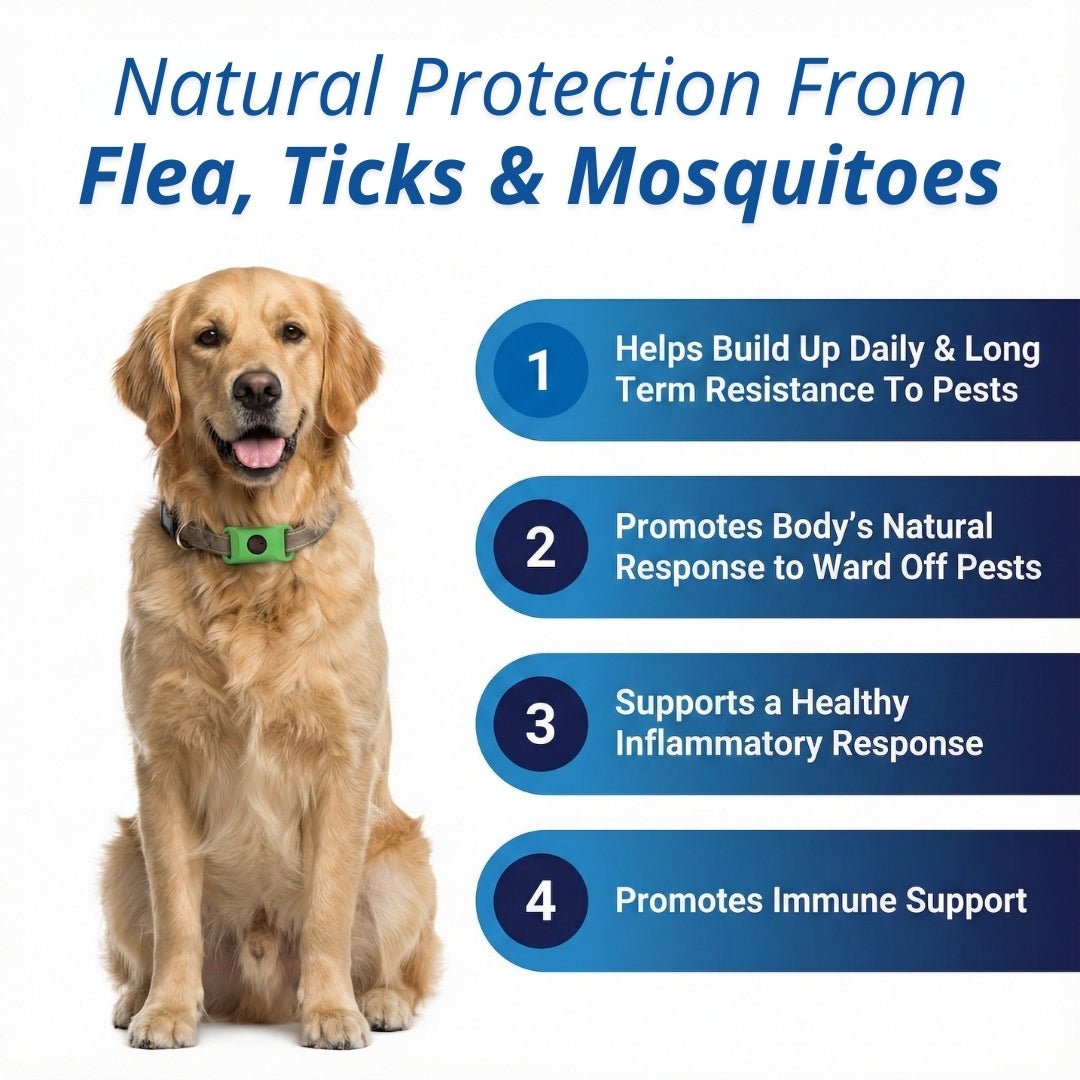 EcoTick - 12 Months Flea and Tick Free - Cooling AussiesCooling AussiesEcoTick - 12 Months Flea and Tick Free
